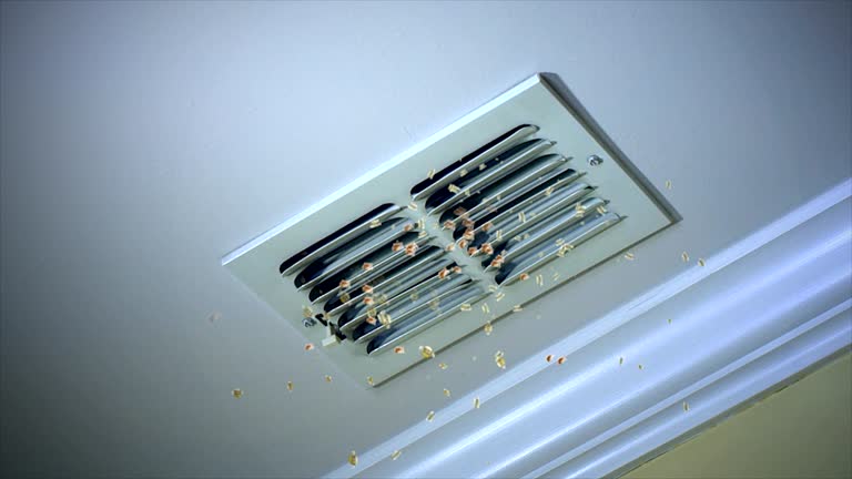 Best Professional Duct Cleaning Services  in Marlton, NJ